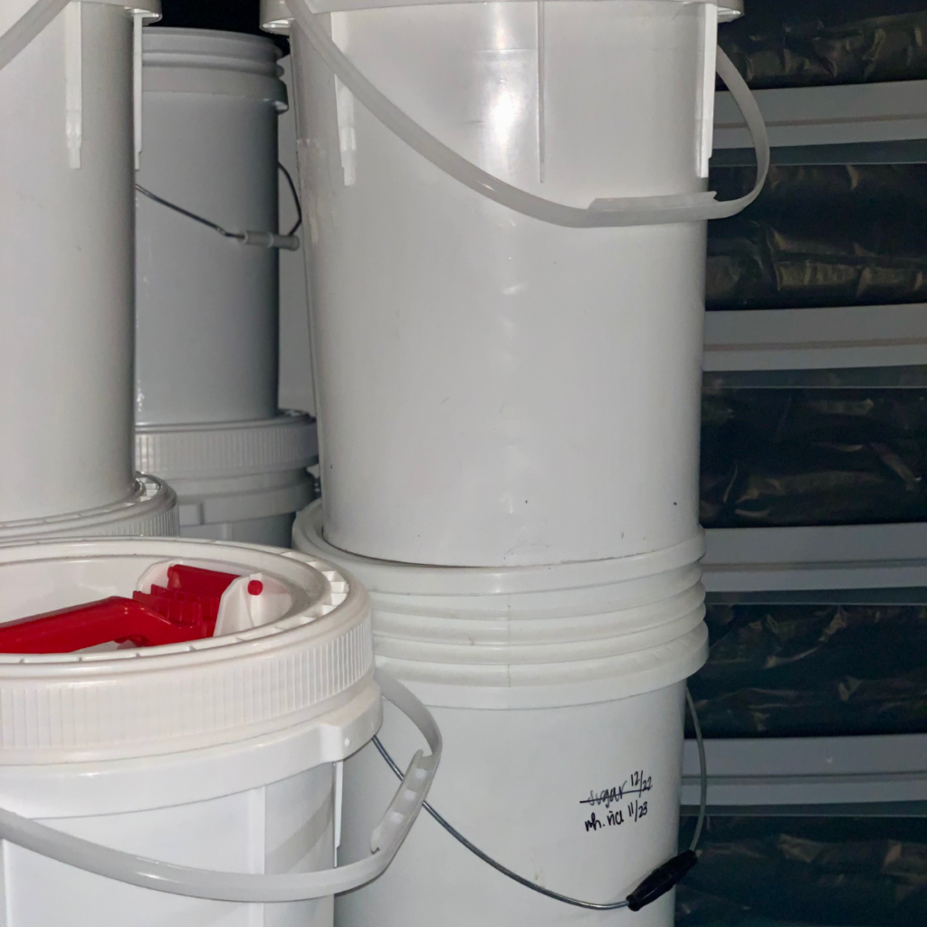 labeled 5-gallon buckets and clear heavy duty storage totes shown holding mylar bags of long-term storage pantry items