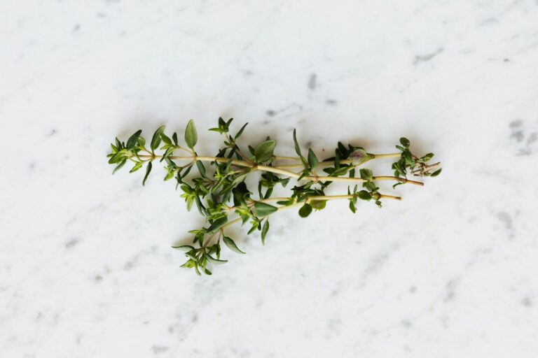 A sprig of fresh thyme displayed on a white marble texture background, viewed from above.